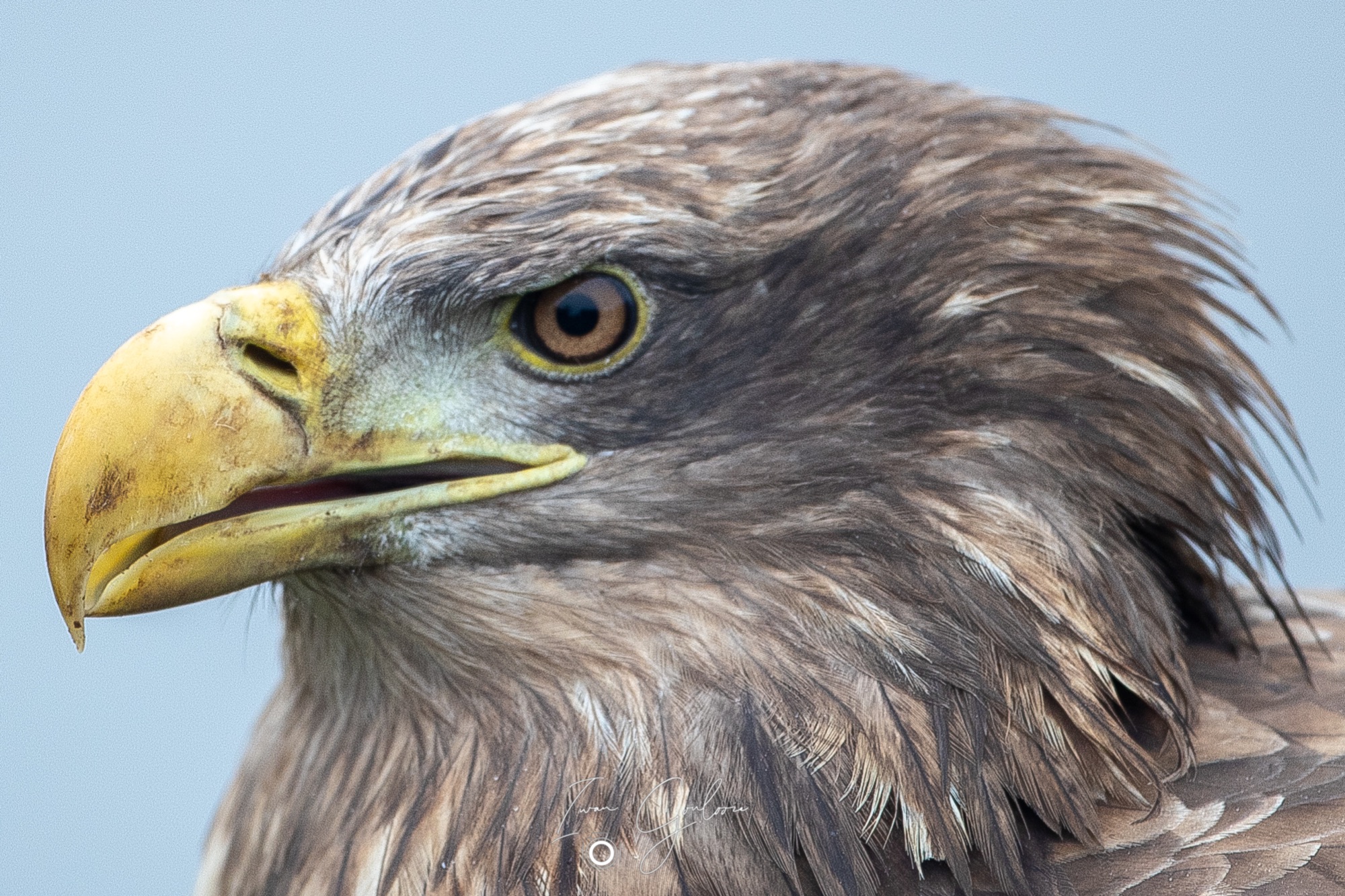 1DX46842 12 december 2021 1443 58